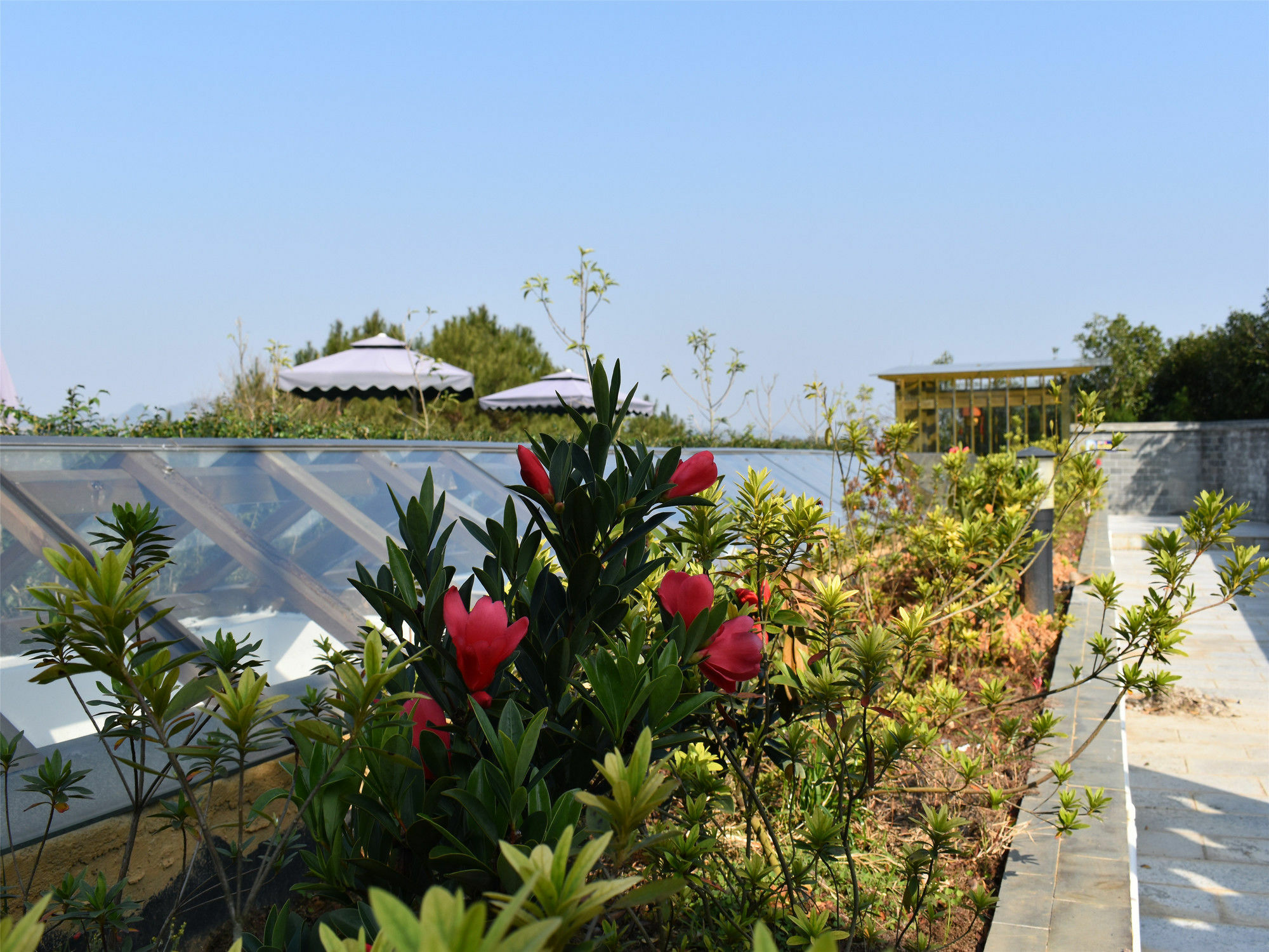Yangshuo Mountain Top Retreat Buitenkant foto